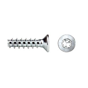 2842-tornillo-rosca-plastico-rf82t-remformr-cabeza-avellanada-torx
