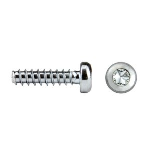 2843-tornillo-rosca-plastico-rhs81p-remformii-hs-cabeza-alomada-torxrplus