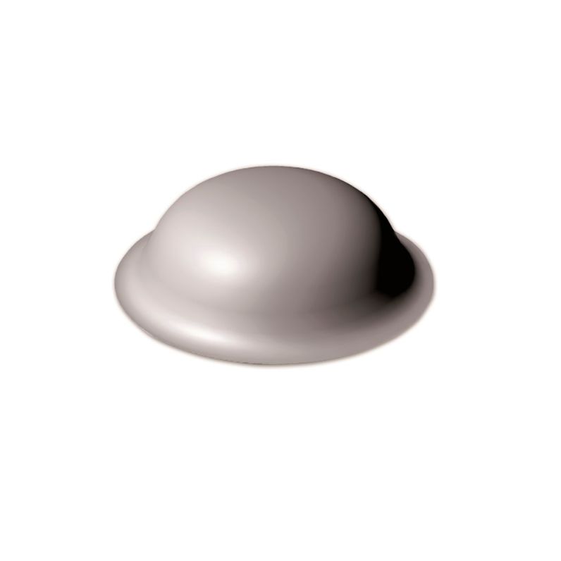 p_cover_cap_grey_cat