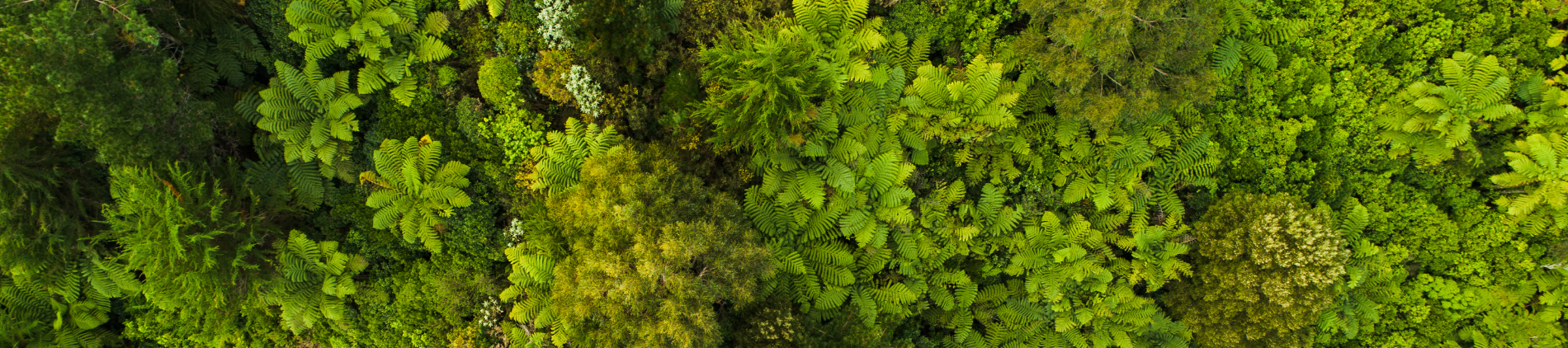 environmental-page-banner-colour